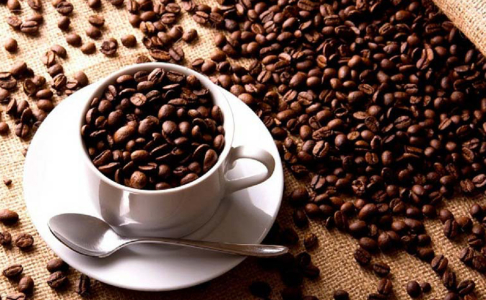 Trải nghiệm dịch vụ khác biệt tại The Bay Coffee