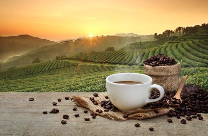 Vì sao bạn nên chọn The Bay Coffee?