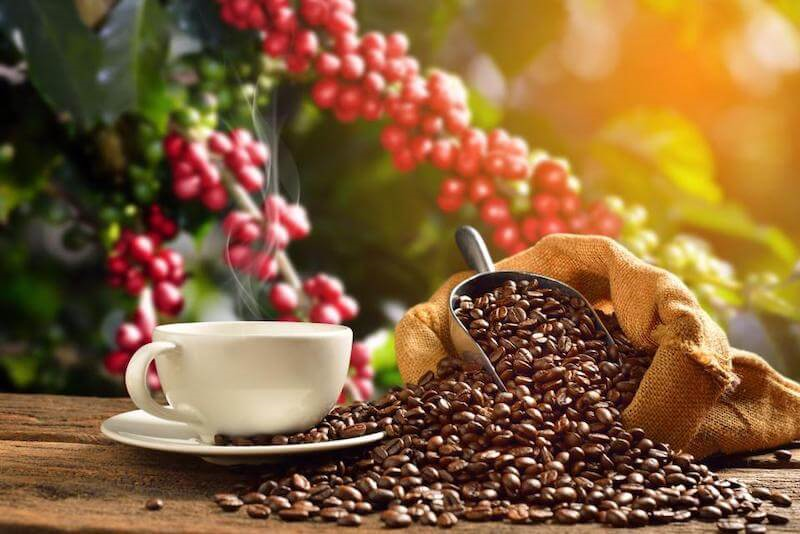 Báo giá cà phê hạt rang xay nguyên chất sạch, uy tín, giá rẻ